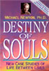 destiny-of-souls
